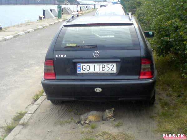 g0_itb52.jpg