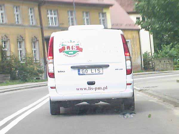 g0_lis.jpg