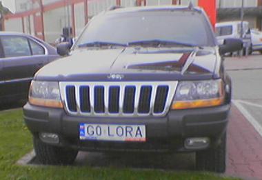 g0_lora.jpg