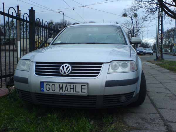 g0_mahle.jpg