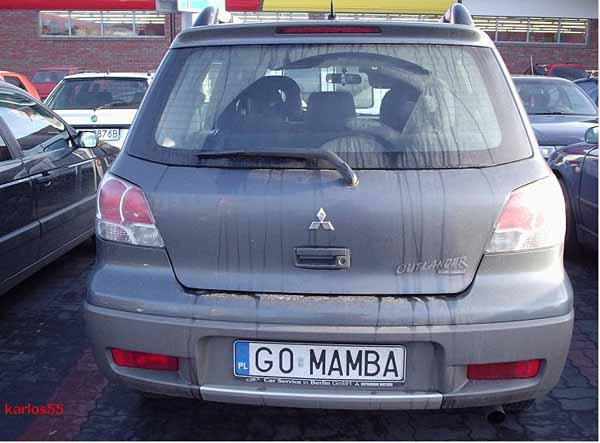 g0_mamba.jpg
