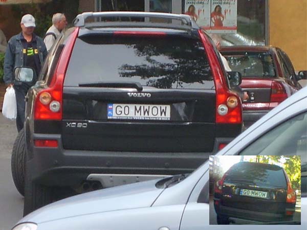g0_mwow.jpg