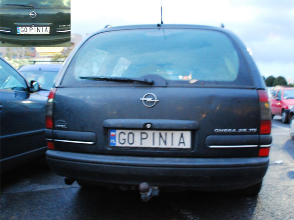 g0_pinia.jpg