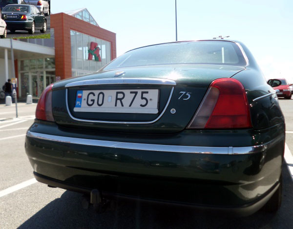 g0_r75.jpg