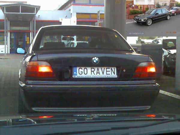 g0_raven.jpg