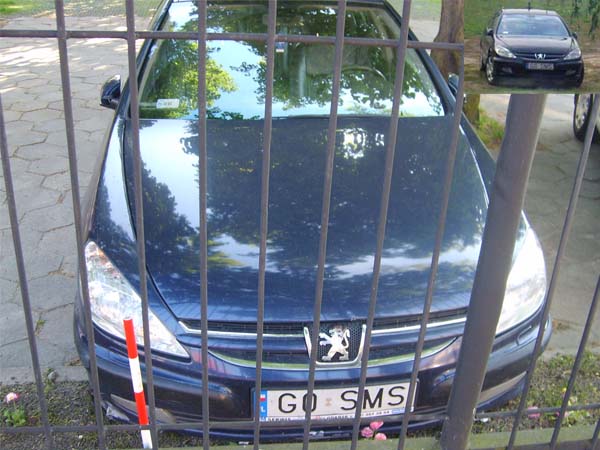 g0_sms.jpg