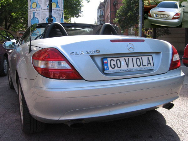 g0_viola.jpg