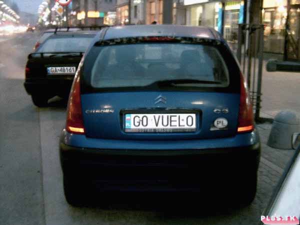 g0_vuelo.jpg