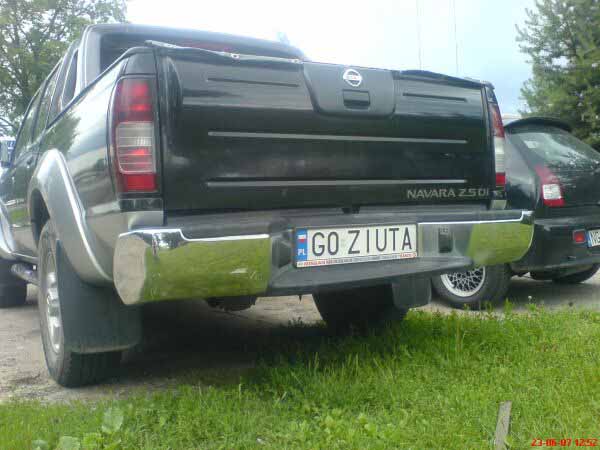 g0_ziuta.jpg