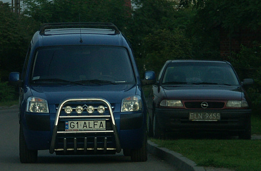 g1_alfa.jpg