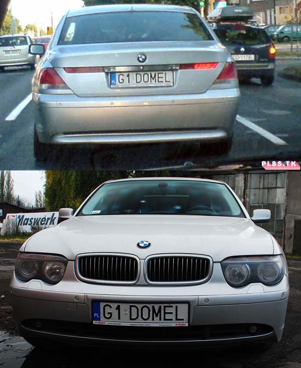 g1_domel.jpg