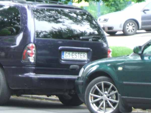 g1_ester.jpg