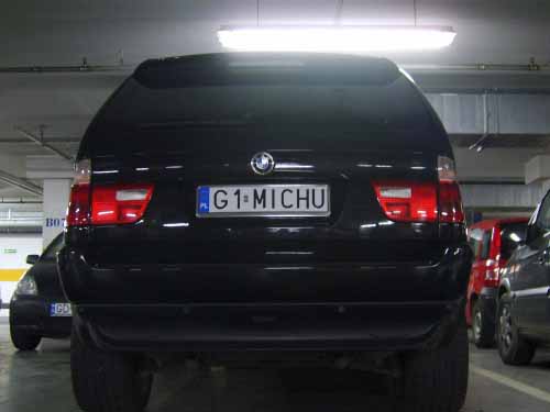 g1_michu.jpg