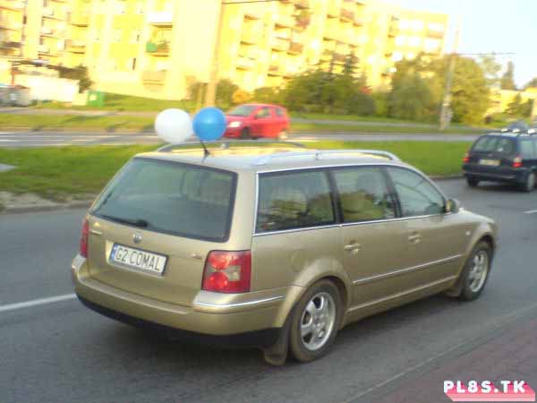 g2_comal.jpg
