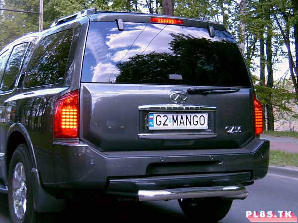 g2_mango.jpg