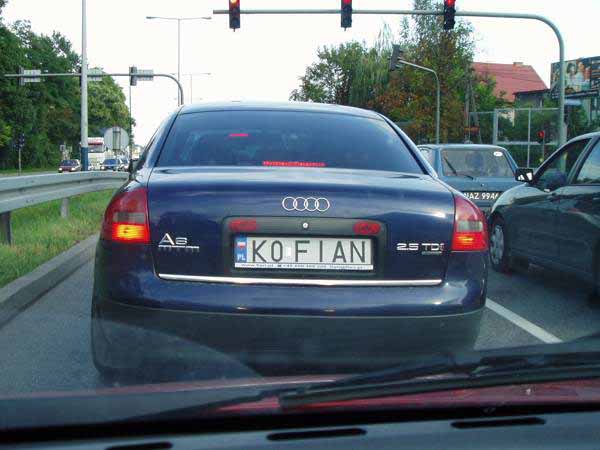 k0_fian.jpg