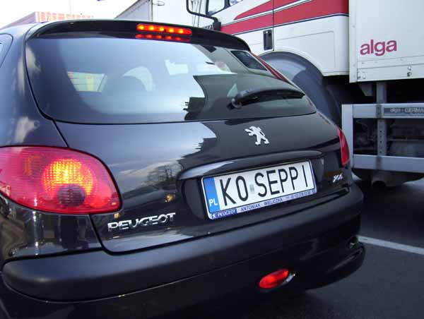 k0_seppi.jpg