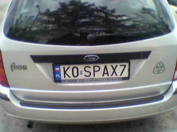 k0_spax7.jpg