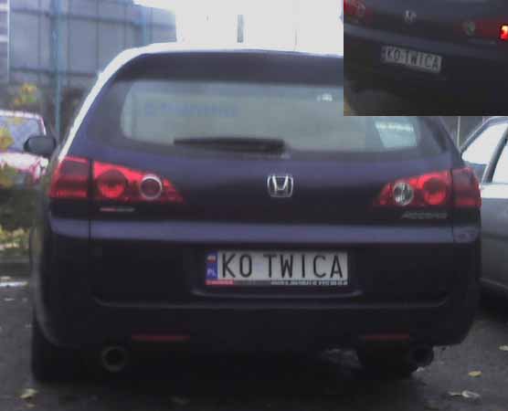 k0_twica.jpg