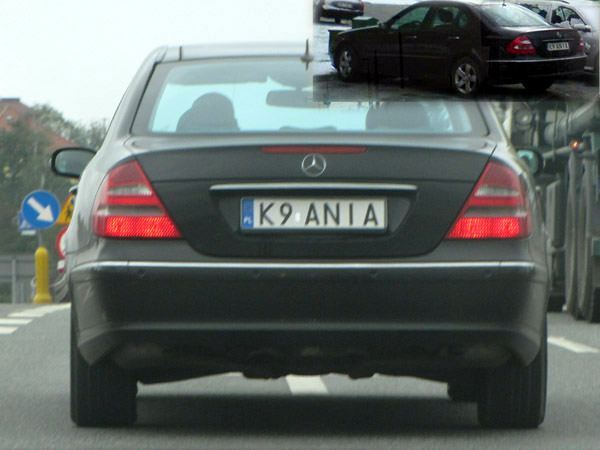 k9_ania.jpg