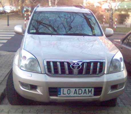 l0_adam.jpg