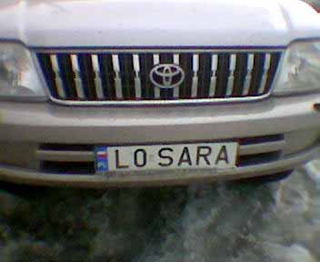 l0_sara.jpg