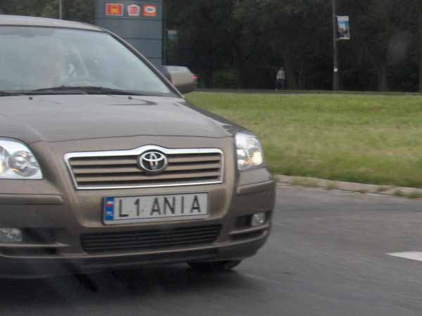 l1_ania.jpg