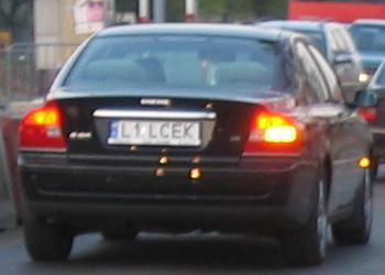 l1_lcek.jpg