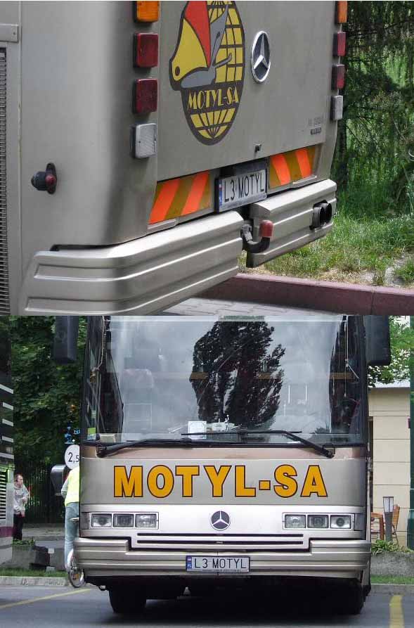 l3_motyl.jpg
