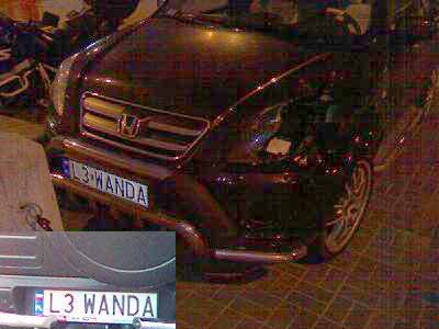 l3_wanda.jpg