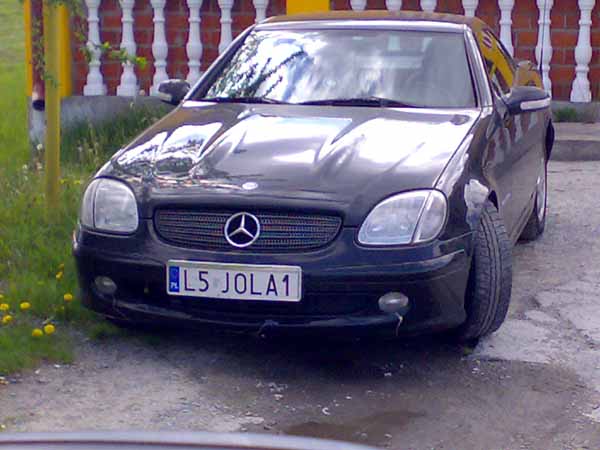 l5_jola1.jpg