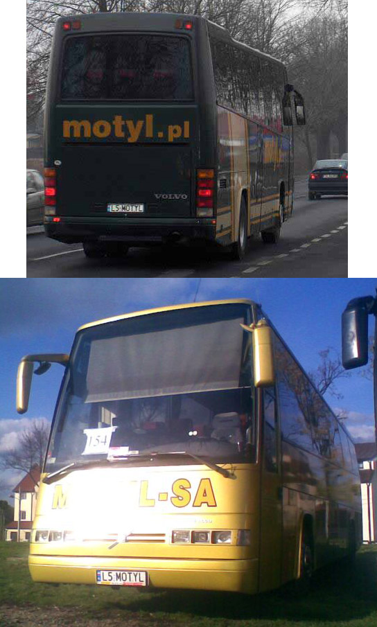 l5_motyl.jpg