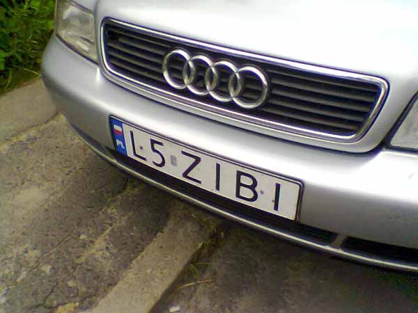 l5_zibi.jpg