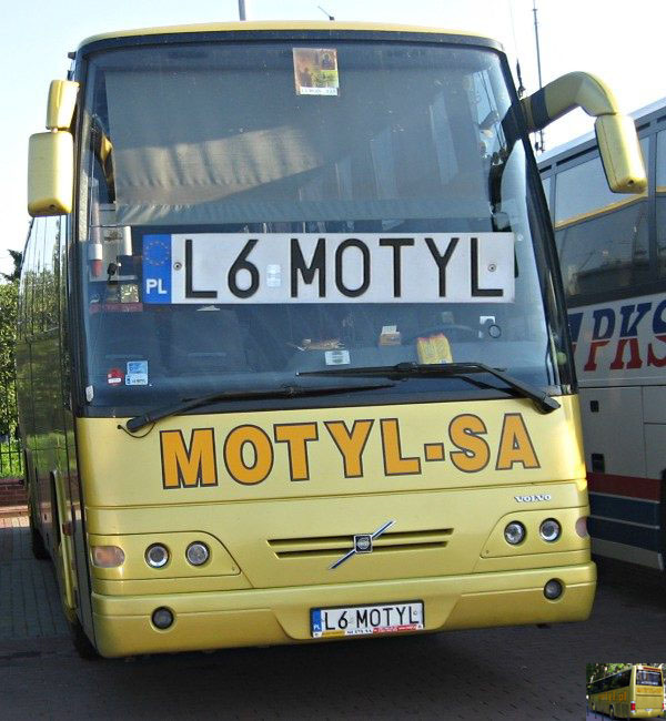 l6_motyl.jpg