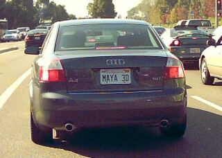maya_3d.jpg