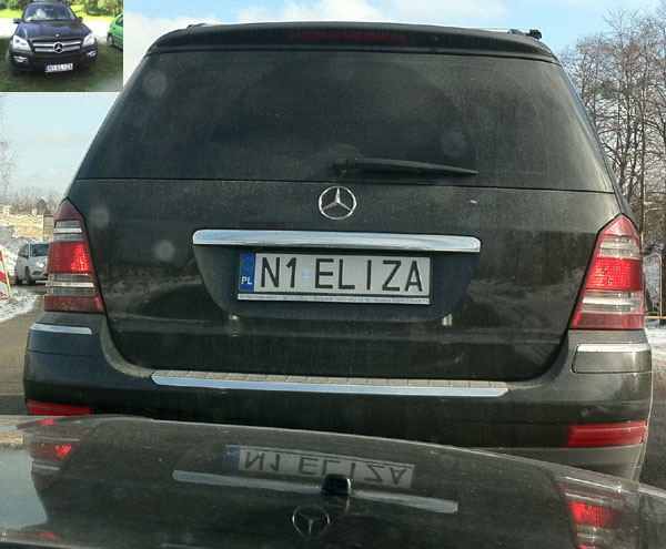 n1_eliza.jpg