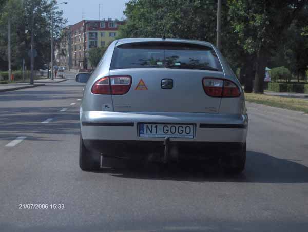 n1_gogo.jpg