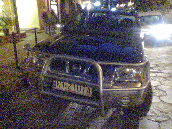 n1_ziuta.jpg
