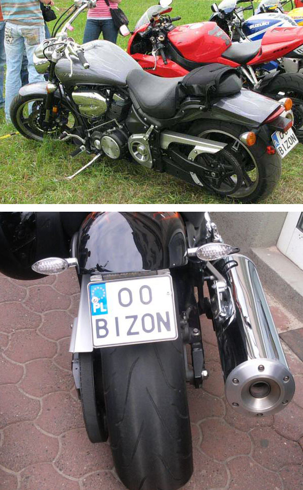 o0_bizon.jpg