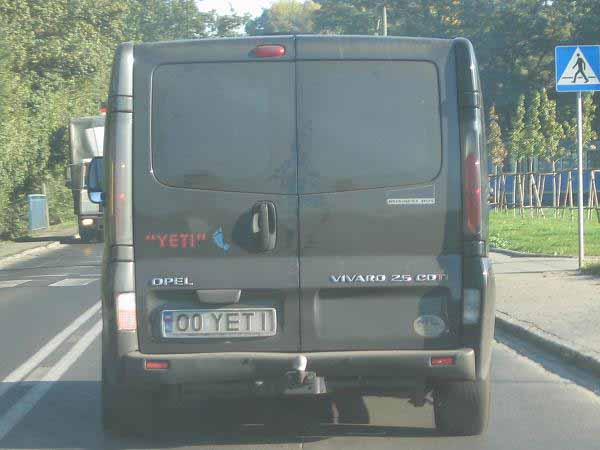 o0_yeti.jpg