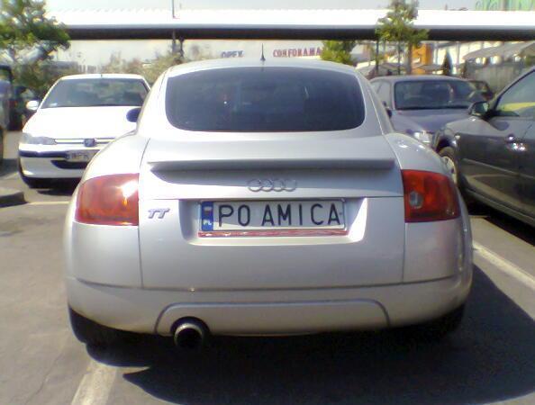 p0_amica.jpg