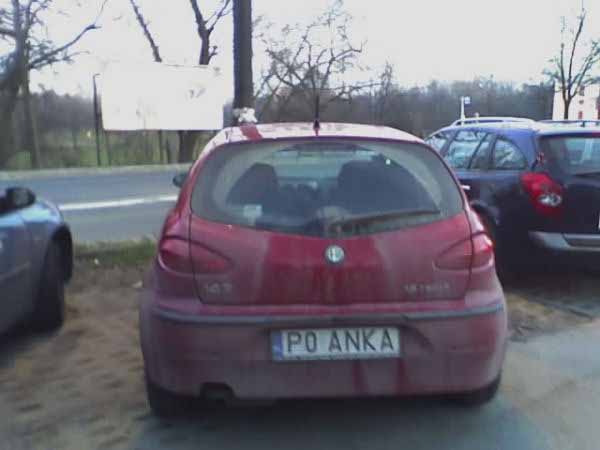 p0_anka.jpg