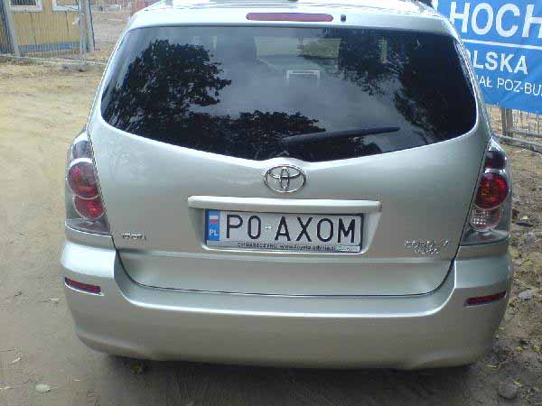 p0_axom.jpg