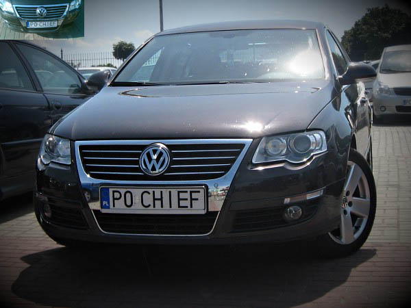 p0_chief.jpg