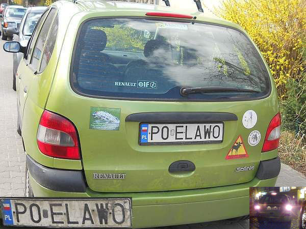 p0_elawo.jpg