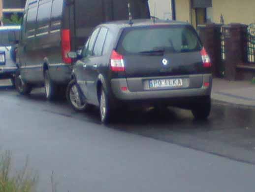 p0_ilka.jpg