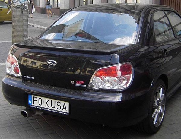 p0_kusa.jpg