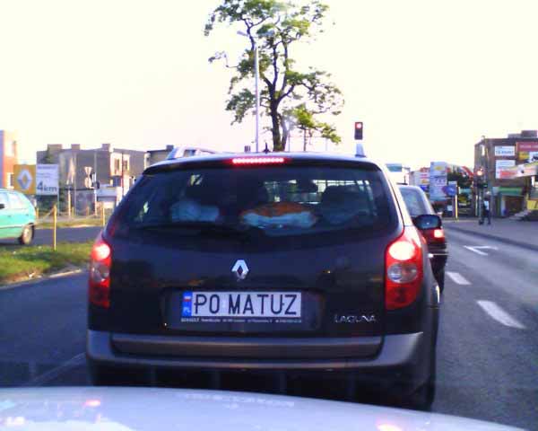 p0_matuz.jpg