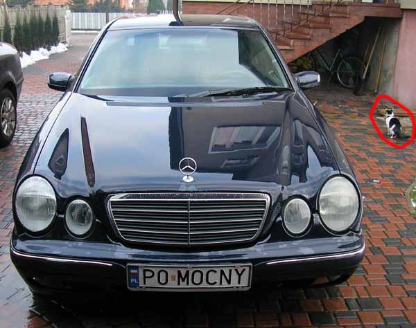 p0_mocny.jpg