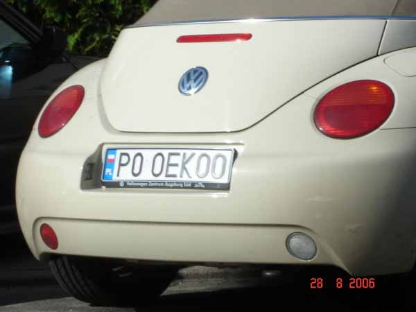 p0_oekoo.jpg